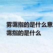 雾霭指的是什么意思 雾霭指的是什么