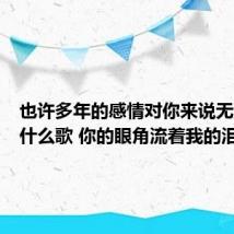 也许多年的感情对你来说无所谓是什么歌 你的眼角流着我的泪歌词