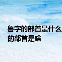 鲁字的部首是什么 鲁字的部首是啥