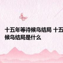十五年等待候鸟结局 十五年等待候鸟结局是什么