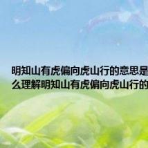 明知山有虎偏向虎山行的意思是什么 怎么理解明知山有虎偏向虎山行的意思