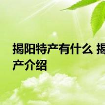 揭阳特产有什么 揭阳特产介绍