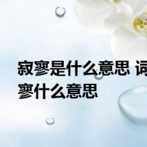 寂寥是什么意思 词语寂寥什么意思