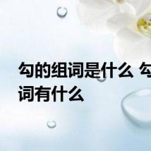 勾的组词是什么 勾的组词有什么