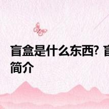 盲盒是什么东西? 盲盒的简介
