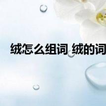 绒怎么组词 绒的词语