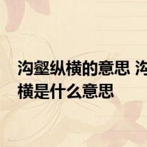 沟壑纵横的意思 沟壑纵横是什么意思