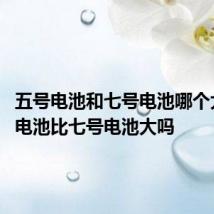 五号电池和七号电池哪个大 五号电池比七号电池大吗