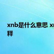 xnb是什么意思 xnb解释