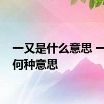 一又是什么意思 一又是何种意思