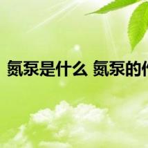 氮泵是什么 氮泵的作用