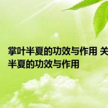 掌叶半夏的功效与作用 关于掌叶半夏的功效与作用