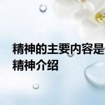 精神的主要内容是什么 精神介绍