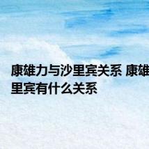 康雄力与沙里宾关系 康雄力与沙里宾有什么关系