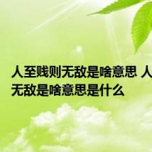 人至贱则无敌是啥意思 人至贱则无敌是啥意思是什么