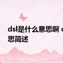 dsl是什么意思啊 dsl意思简述