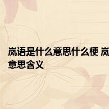 岚语是什么意思什么梗 岚语梗的意思含义