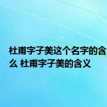 杜甫字子美这个名字的含义是什么 杜甫字子美的含义