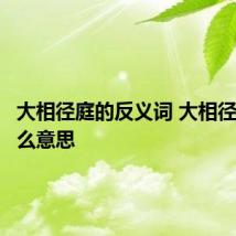 大相径庭的反义词 大相径庭是什么意思