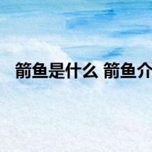 箭鱼是什么 箭鱼介绍