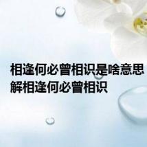 相逢何必曾相识是啥意思 怎么理解相逢何必曾相识