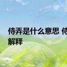 侍弄是什么意思 侍弄的解释