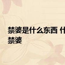 禁婆是什么东西 什么是禁婆