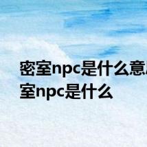 密室npc是什么意思 密室npc是什么
