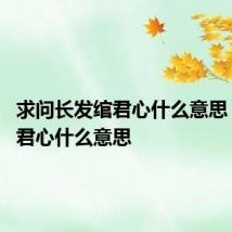 求问长发绾君心什么意思 长发绾君心什么意思