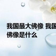 我国最大佛像 我国最大佛像是什么