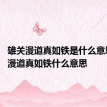 雄关漫道真如铁是什么意思 雄关漫道真如铁什么意思