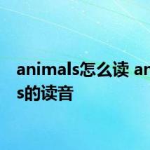 animals怎么读 animals的读音