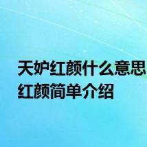天妒红颜什么意思 天妒红颜简单介绍