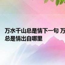 万水千山总是情下一句 万水千山总是情出自哪里