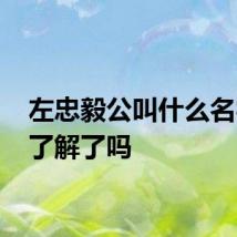 左忠毅公叫什么名字 你了解了吗