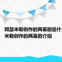 阿瑟米勒创作的两幕剧是什么 阿瑟米勒创作的两幕剧介绍