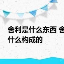 舍利是什么东西 舍利是什么构成的