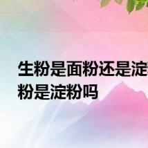 生粉是面粉还是淀粉 生粉是淀粉吗
