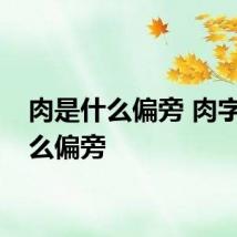 肉是什么偏旁 肉字是什么偏旁