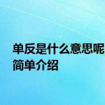 单反是什么意思呢 单反简单介绍