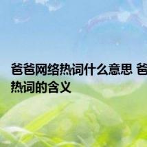 爸爸网络热词什么意思 爸爸网络热词的含义