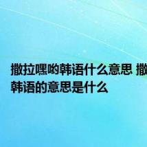 撒拉嘿哟韩语什么意思 撒拉嘿哟韩语的意思是什么