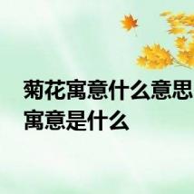 菊花寓意什么意思 菊花寓意是什么