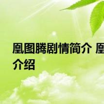 凰图腾剧情简介 凰图腾介绍