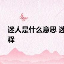迷人是什么意思 迷人解释