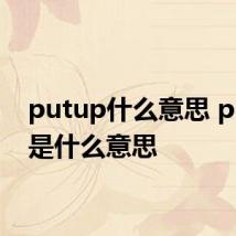 putup什么意思 putup是什么意思