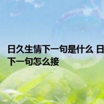 日久生情下一句是什么 日久生情下一句怎么接