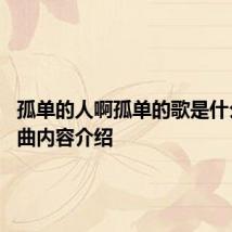 孤单的人啊孤单的歌是什么歌 歌曲内容介绍