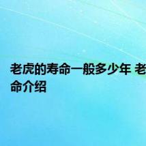 老虎的寿命一般多少年 老虎的寿命介绍