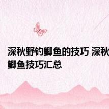 深秋野钓鲫鱼的技巧 深秋野钓大鲫鱼技巧汇总